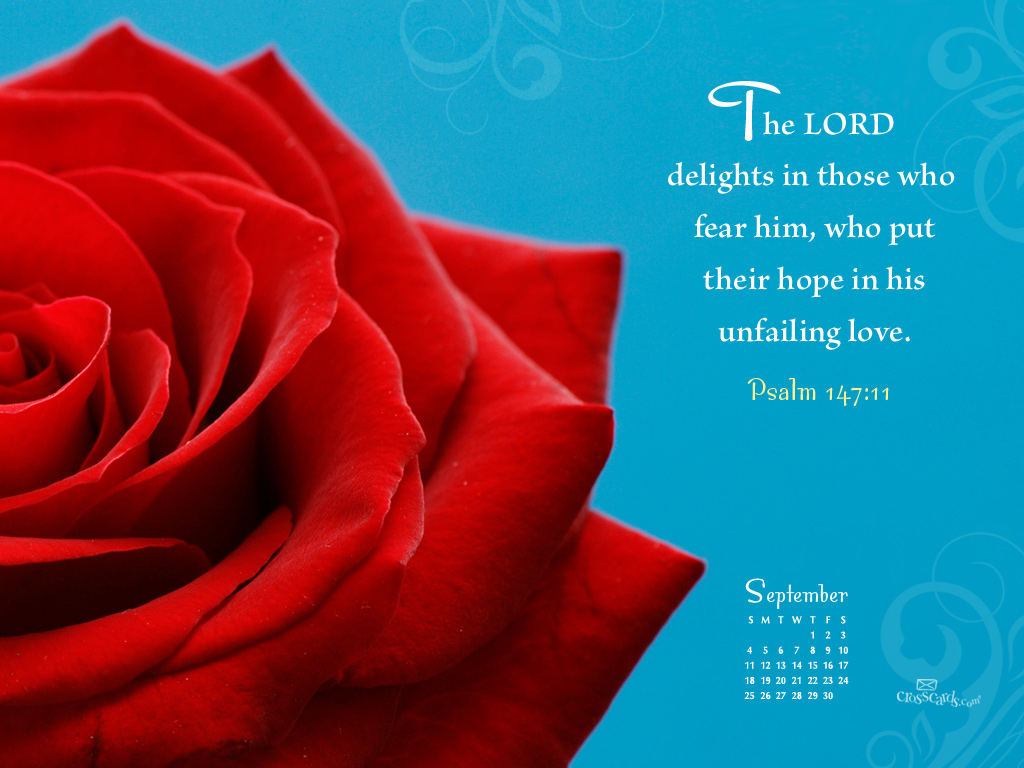 September 2011 - Delight - Wallpaper
