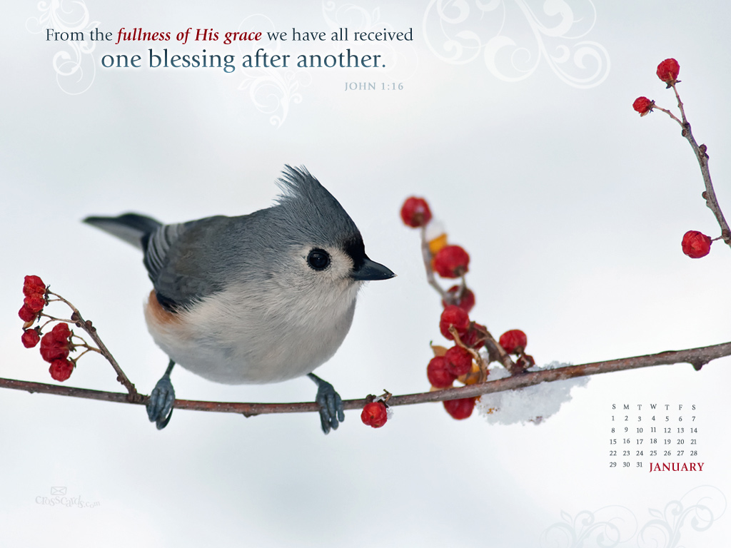 Jan 2012 - John 1:16 - Wallpaper