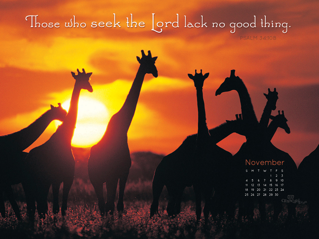 Nov 2012 - No Lack - Wallpaper
