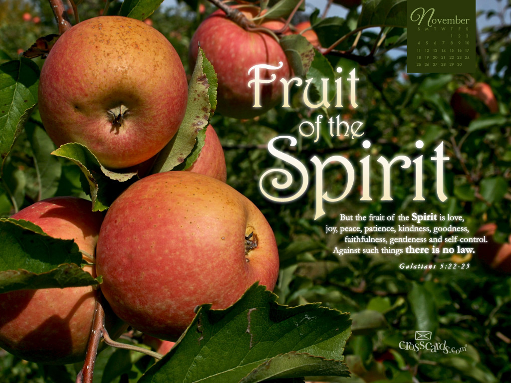 Nov 2012 - Fruit - Wallpaper