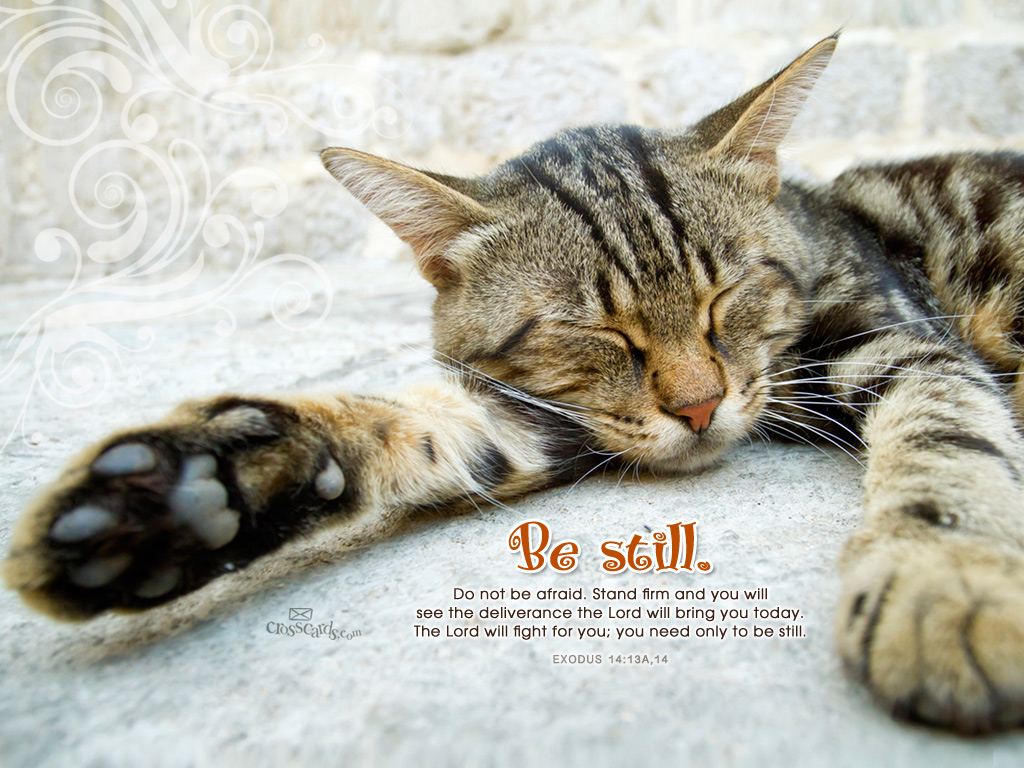 Be Still - Wallpaper