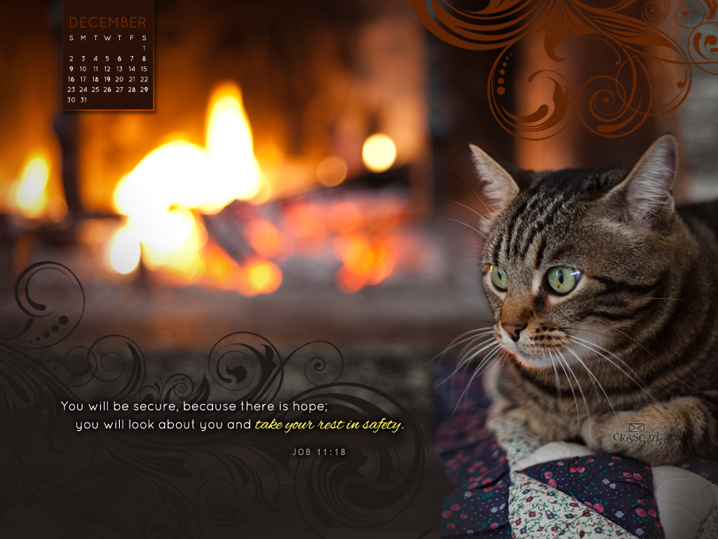 Dec 2012 - Restful Cat - Wallpaper