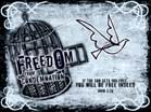Freedom - Wallpaper