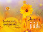 Preach January 2010 - Wallpaper