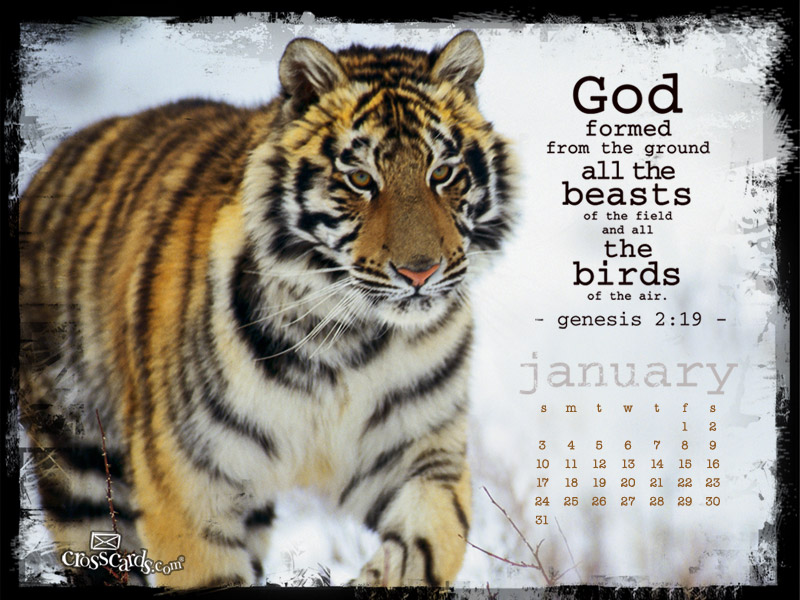 God Formed January 2010