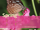 Spring Calendar