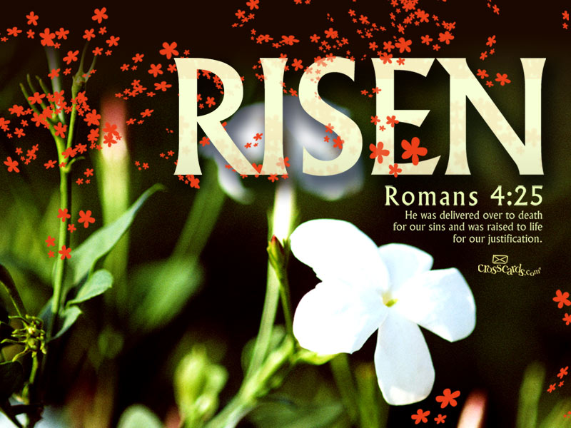 Risen