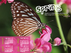 Spring 2010