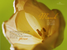 March 2012 - John 11:25-26 - Wallpaper