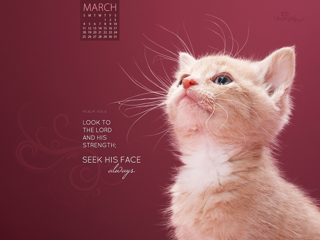 March 2012 - Seek His Face - Wallpaper