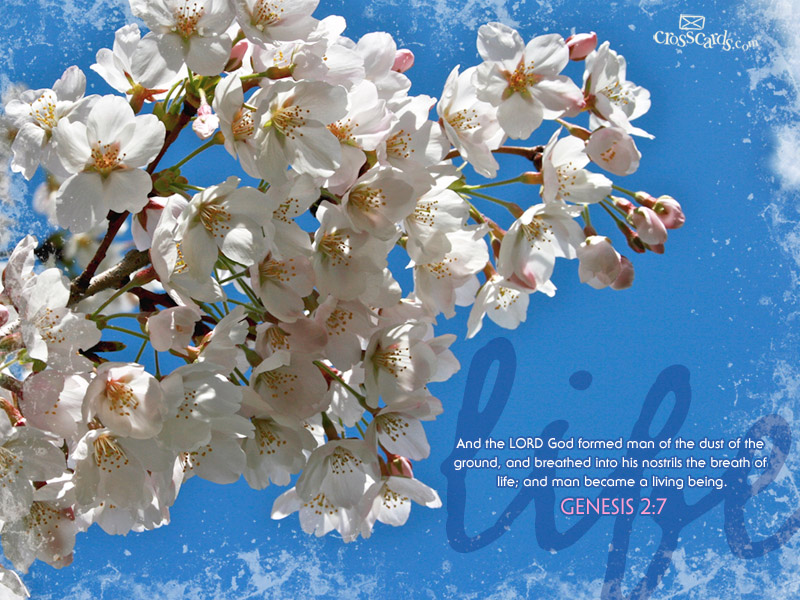 Life - Genesis 2:7