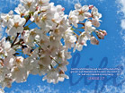 Life - Genesis 2:7 - Wallpaper