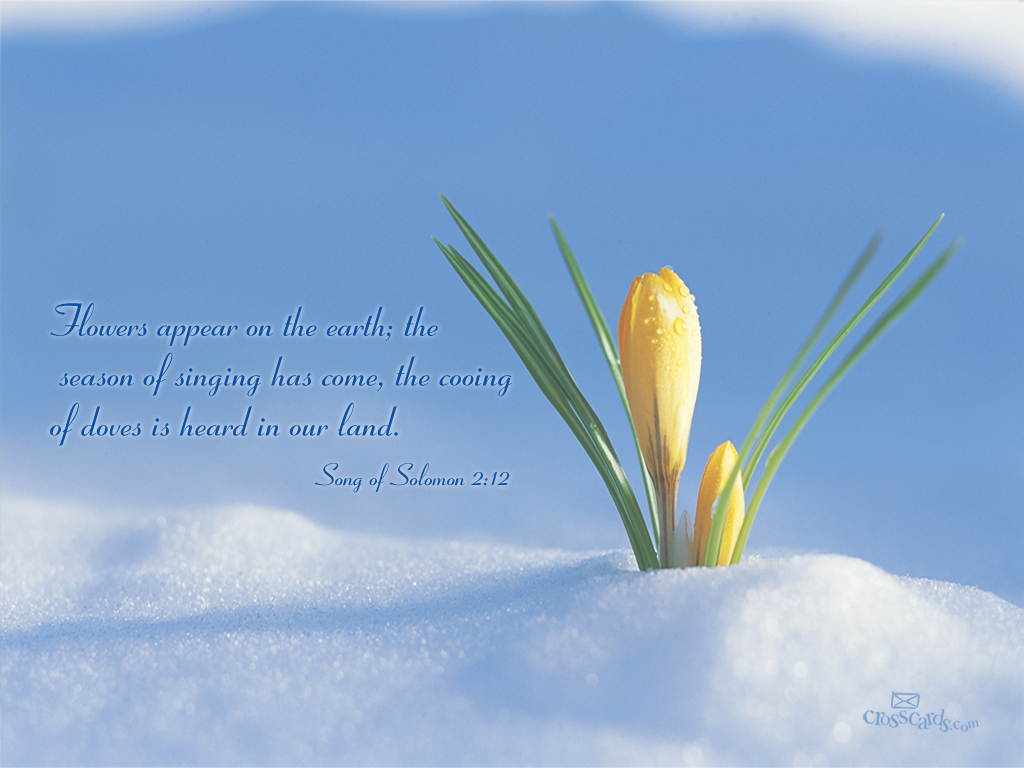 Song of Solomon 2:12 Desktop Wallpaper - Free Scripture Verses Backgrounds