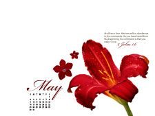 2 John 1:6 - May 2010