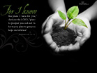 I Know the Plans - Wallpaper