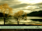 Proverbs 3:18 - Wallpaper