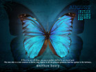 August 2010 - New Creature