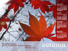 Autumn - Wallpaper