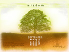 September 2010 - Wisdom - Wallpaper