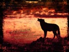 Repentance - Wallpaper