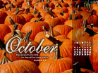 Pumpkins - Wallpaper