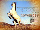 Unfailing Love 2009 - Wallpaper