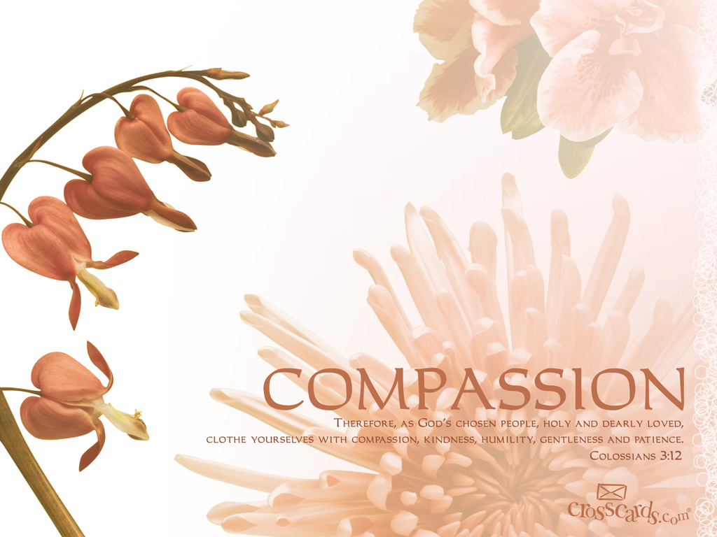 Colassians 3:12 - 1024 x 768