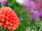 Feb 2012 - Refuge