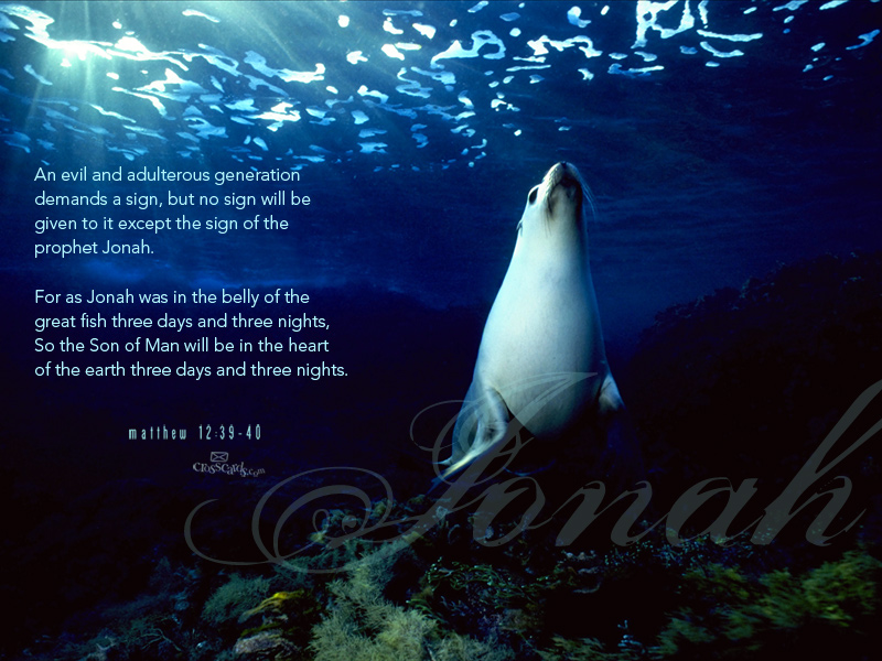Jonah Biblical Quotes. QuotesGram