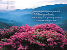 June 2013 - Psalm 43:3 NIV - Free Christian Wallpaper