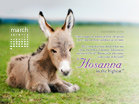 March 2013 - Hosanna - Wallpaper