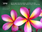May 2013 - Psalm 30:5 NKJV - Wallpaper