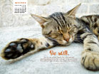 Be Still - Wallpaper