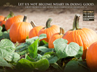 Oct 2012 - 