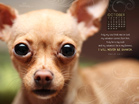 Oct 2012 - Never Shaken - Wallpaper