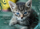 Oct 2012 - Seek Me - Wallpaper