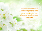 1 Peter 3:15 NIV - Wallpaper