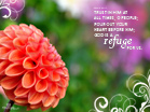 Refuge
