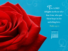 Sept. 2012 - Unfailing Love - Wallpaper