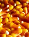 Trick-or-Treating with Purpose