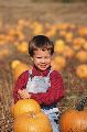 To Halloween or Not to Halloween?
