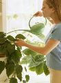 Avoid the 'Greener Grass' Syndrome: Water Your Own Marriage