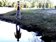 Crosswalk Video
