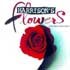 <I>Flowers</I> Shows the Horrors of War