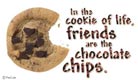 chocolate chip cookie e-card