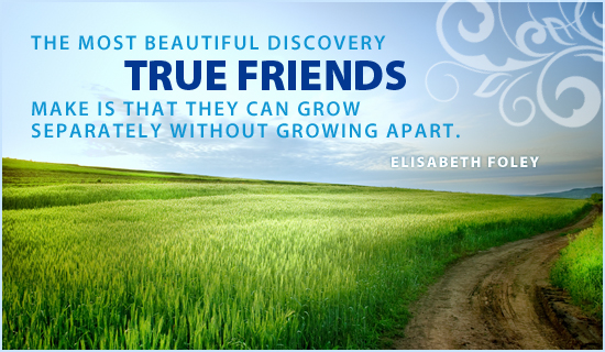 Friendship Day (8/7) - Ecard