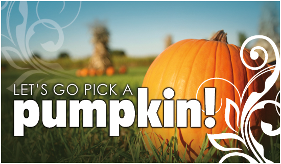 Pumpkin Patch - Ecard