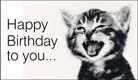 Singing Cat
