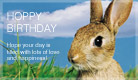 Hoppy Birthday - Ecard