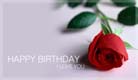Happy Birthday - Love